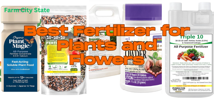 Top 5 Best Fertilizer for Plants and Flowers in 2025