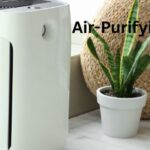 Top 7 Best Indoor Air Purifying Plants for Fresh Air