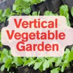 Vertical Vegetable Gardening in Small Spaces