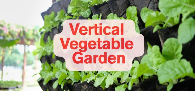 Vertical Vegetable Gardening in Small Spaces