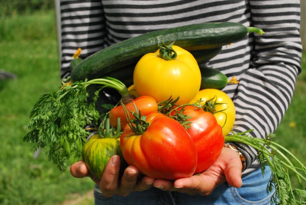 Vertical Vegetable Gardening in Small Spaces
