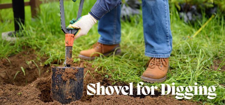 Best Shovel for Digging Up Roots Shovels for Tough Jobs