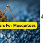 Top 6 Best Bug Zappers For Mosquitoes What Really Works in 2025