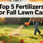 Best Fertilizer For Fall Lawn