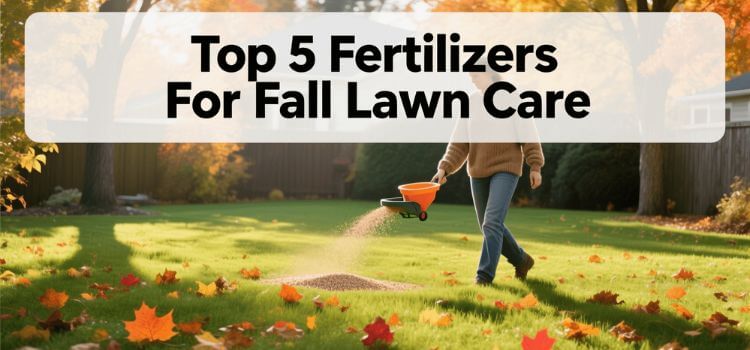 Best Fertilizer For Fall Lawn
