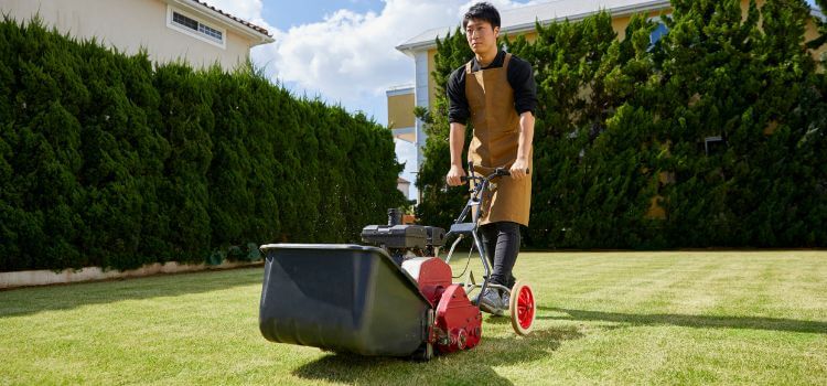  Best Fertilizer For Fall Lawn 