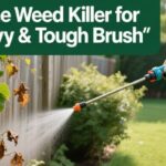 Best Vine Weed Killer