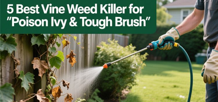 Best Vine Weed Killer