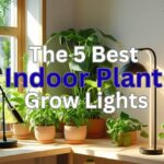 best indoor plants grow lights (2)