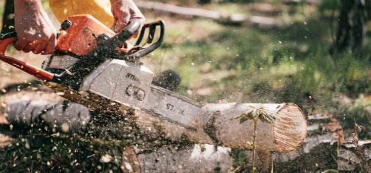 5 Best Chainsaw Reviews for Home and Garden