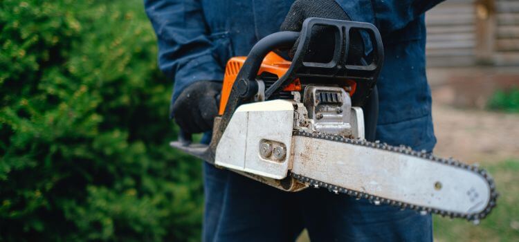 5 Best Chainsaw Reviews for Home and Garden