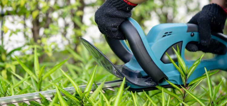 Hedge Trimmer Cordless vs Corded Review