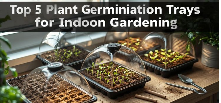 Plant Germination Trays