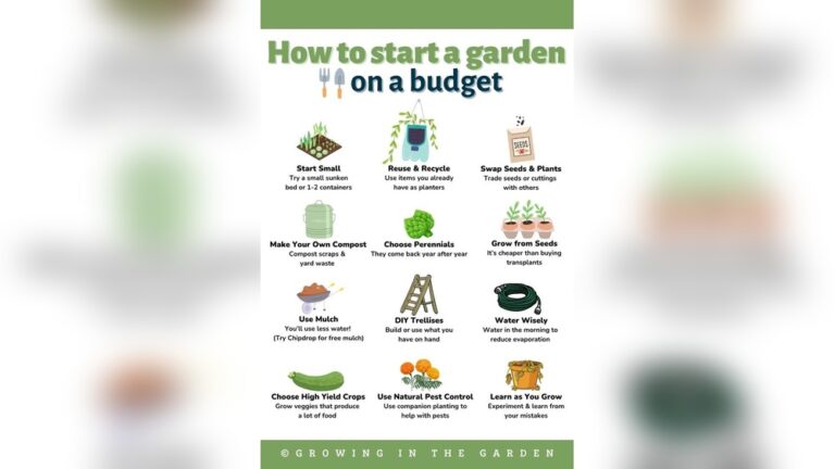 Gardening Tips for Beginners: Essential Tricks for a Thriving Garden ...