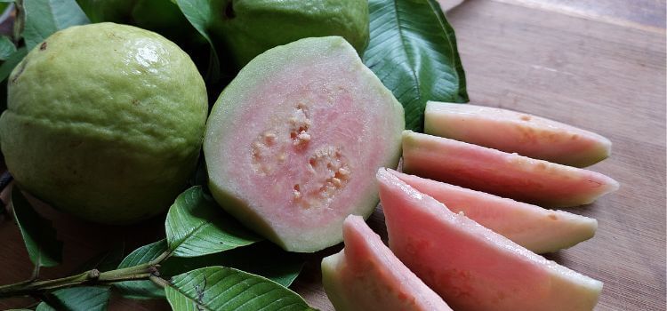 How to Grow Guava from Seed