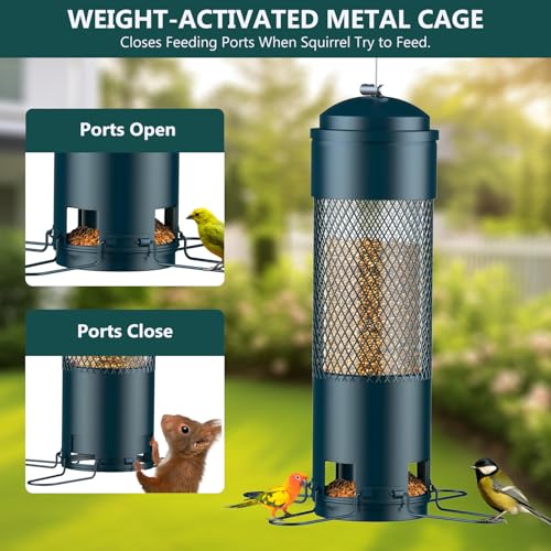 Best Bird Feeders For Small Birds