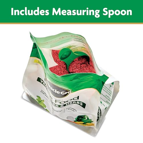 Best Fertilizer For Squash Plants