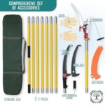 Best Pole Saw For Tree Trimming