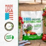 Best Organic Potting Soil