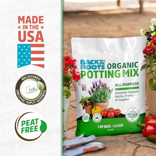 Best Organic Potting Soil