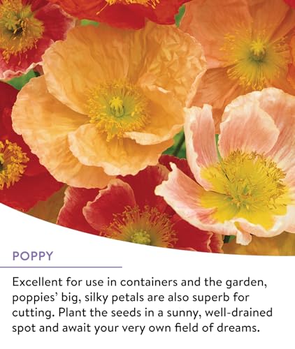 Burpee Wildflower Perennial Mix Reviews