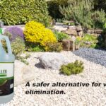 Best Organic Weed Killers