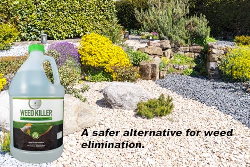 Best Organic Weed Killers