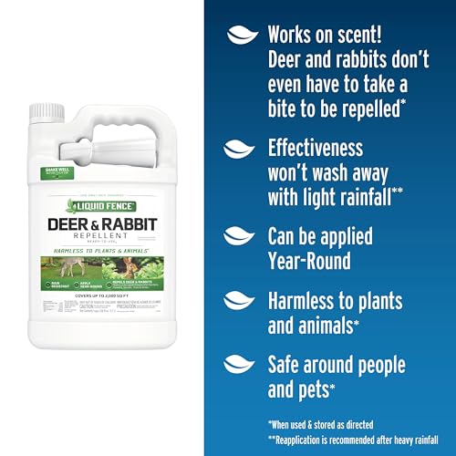 Best Rabbit Repellent For Lawns
