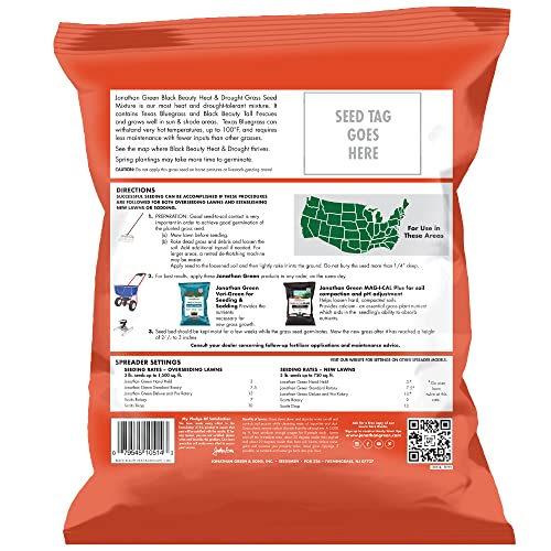 Best Grass Seed For Full Sun And Drought