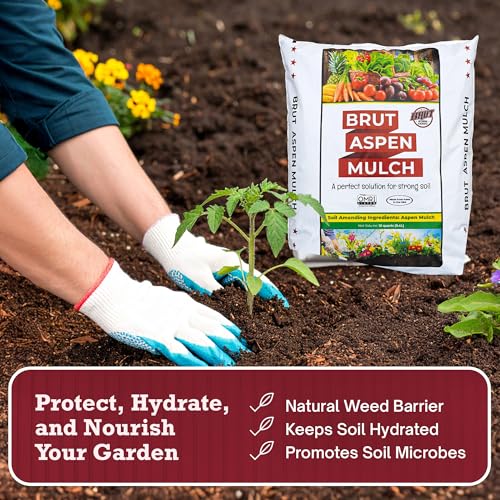 Best Mulches For Flower Beds