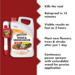Best Weed Killer For Large Areas