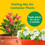 Best Soil For Container Gardening