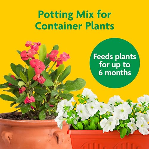 Best Soil For Container Gardening