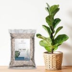 Best Mulch For Container Gardening