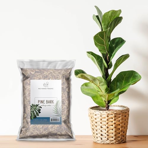 Best Mulch For Container Gardening