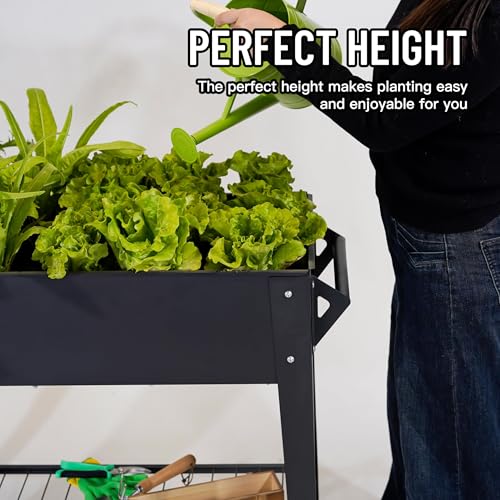 Best Planters For Vegetables