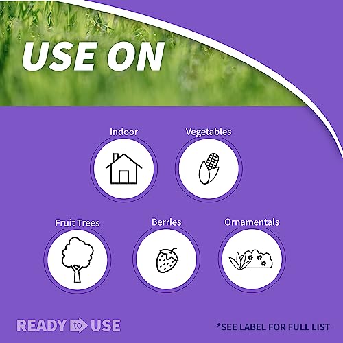 Best Rooting Hormone For Succulents