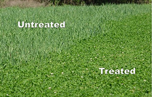 Selective Herbicide For Grass