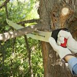 Best Pruning Saw For Large Branches