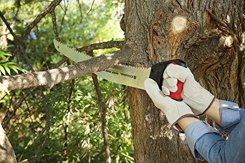 Best Pruning Saw For Large Branches