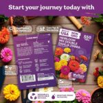 Best Zinnia Seeds For Cut Flowers