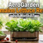 Aerogarden Romaine Lettuce Reviews