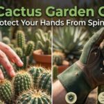 Best Cactus Garden Gloves