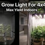Best Grow Light For 4x4 Tent
