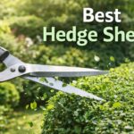 Best Hedge Shears