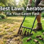 Best Lawn Aerators