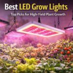 Best Led Grow Lights