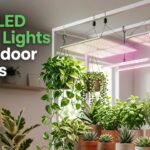 Best Led Grow Lights For Indoor Plants