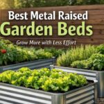 Best Metal Raised Garden Beds