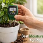 Best Moisture Meter For Plants